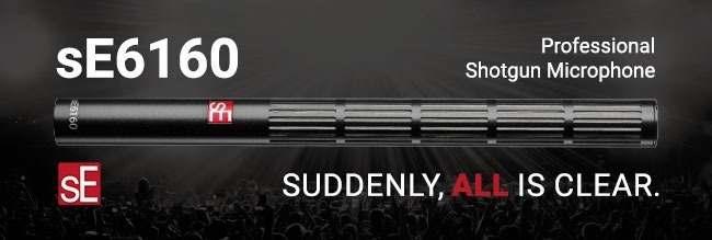 <div>sE Electronics <br><strong>sE6160</strong><br>Professional Shotgun Microphone</div>